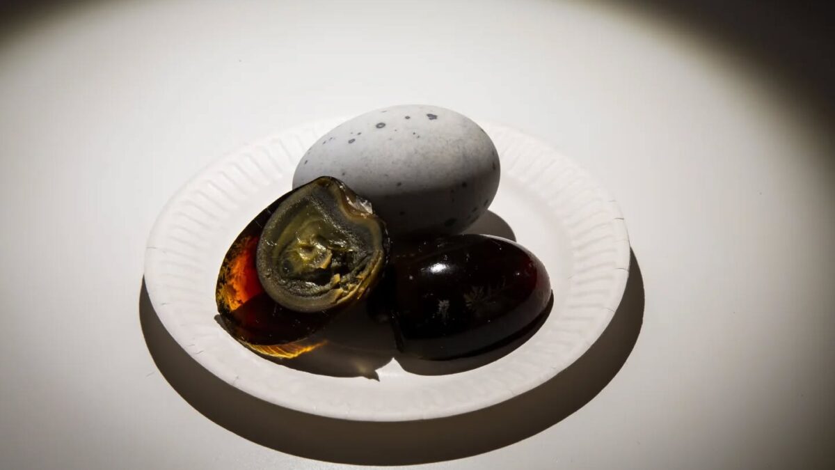 Mut zur Geschmacksexpedition: Das Disgusting Food Museum lädt ein