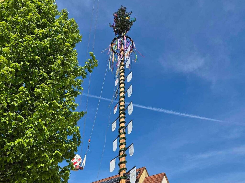 Maibaum Pleidelsheim